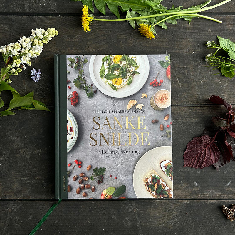 37802770 1907670212589267 2120933727839191040 N 37802770 1907670212589267 2120933727839191040 N